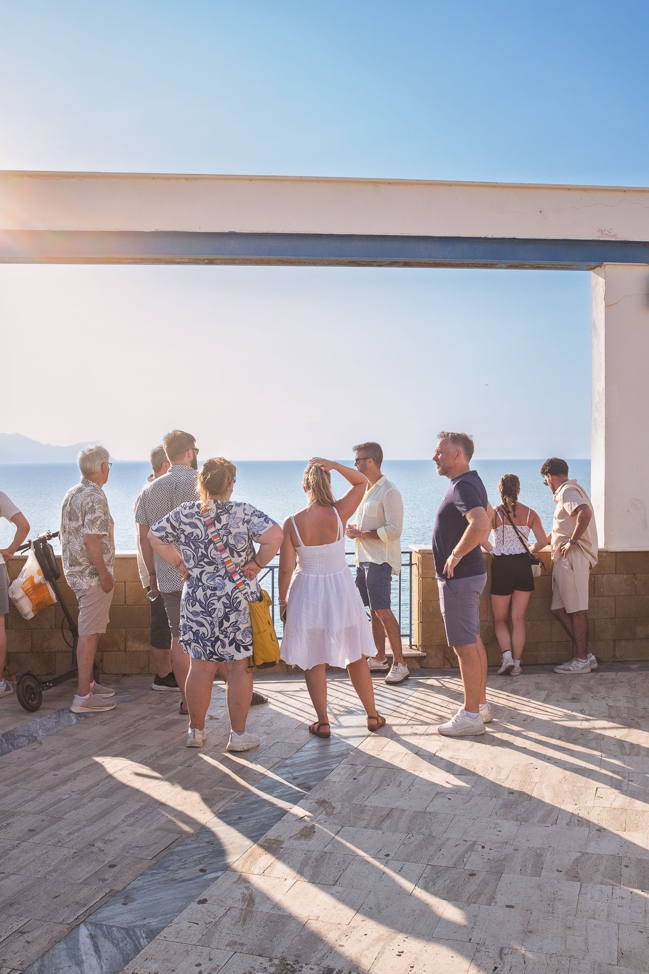 Balestrate: Olive Grove Tour and Tasting of Olive Oil, Sicilian Wines, and Balsamic Vinegar