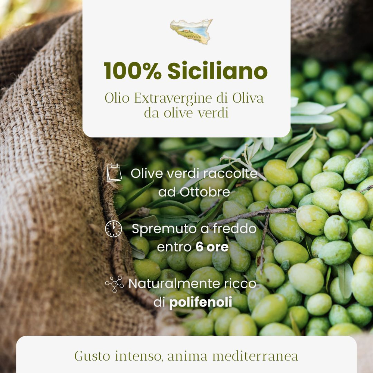 Essensily Extra Virgin Olive Oil 3L Bag in Box